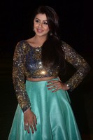 Nikki Galrani Photo Gallery